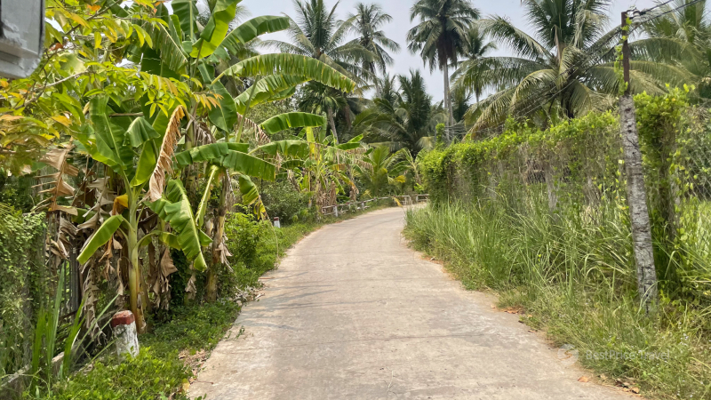 Sightsee the nature of Mekong Delta