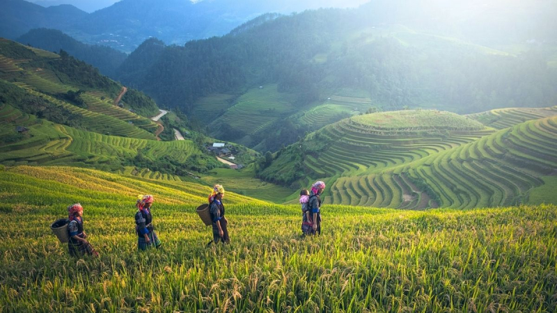 Sapa Trekking Ethnic Market