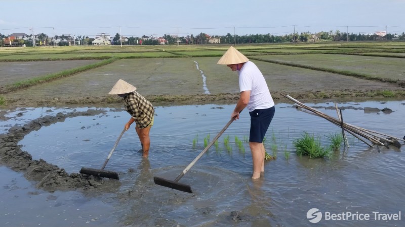 Day 3 Experience The Local Life In Cam Thanh Village