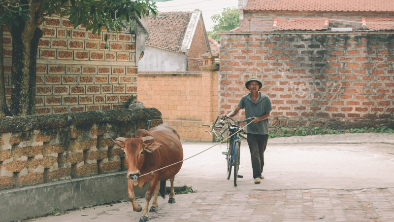 Day 2 Take A Bicycle Ride Near Ky Son Village